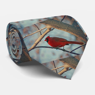 Gravata Cardeal bonito