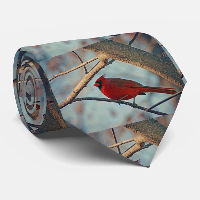 Gravata Cardeal bonito (Rolled)