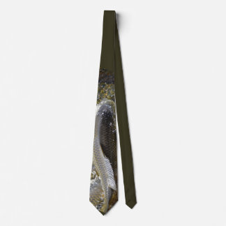 Gravata Carp Tie