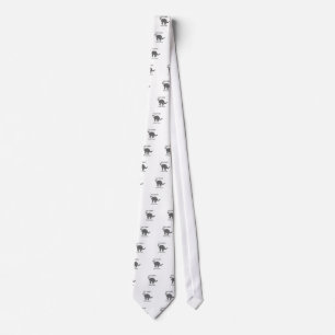 Gravata Cat Felis Catus