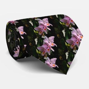 Gravata Cattleya Trianae