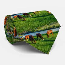 Cavalos Esfregando Perto De Um Rio