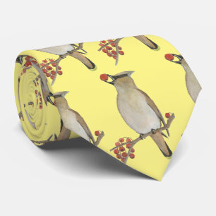 Gravata Cedar Waxwing