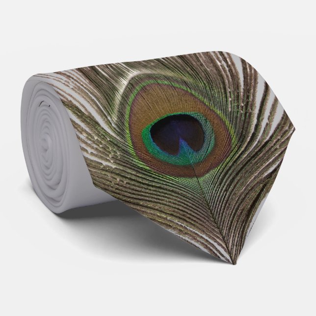 Gravata Cinza de penas de punho (Rolled)