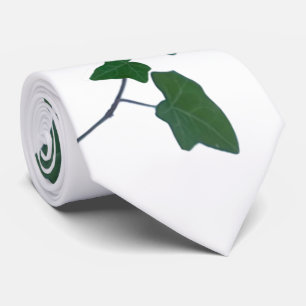 Gravata Clássica - Cor d'água Verde - Ivy