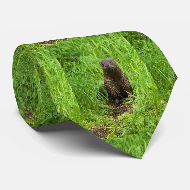 Gravata Clever River Otter (Rolled)