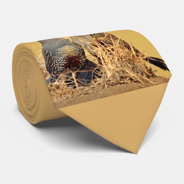 Gravata Codorniz do vale (Califórnia) (Rolled)