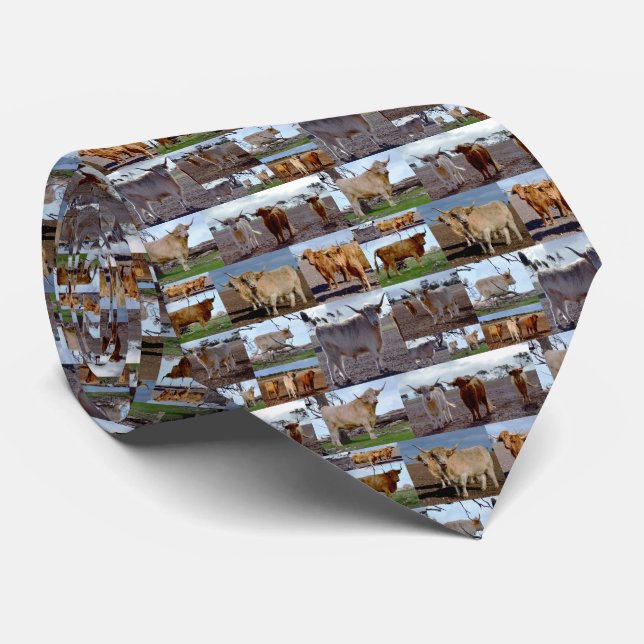 Gravata Collarge Of Highland Cows, (Rolled)