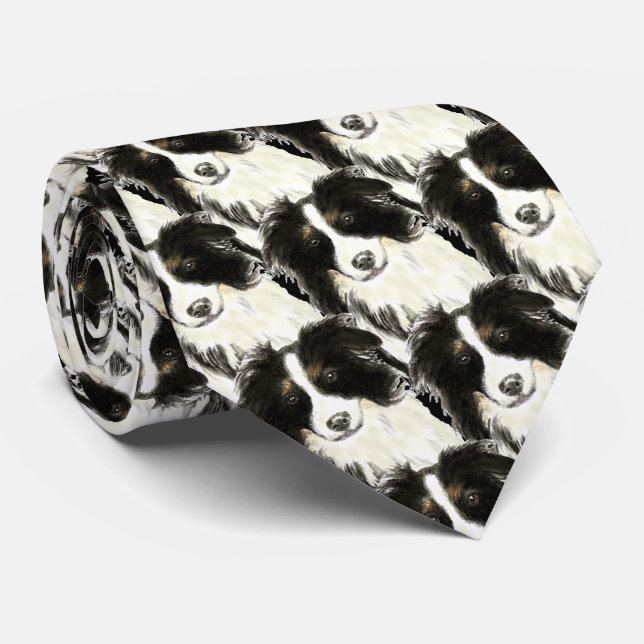 Gravata Collie, Cão, Pet, Animal (Rolled)