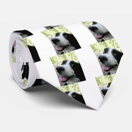 Gravata Collie Silk Tie, Fronteira Masculina