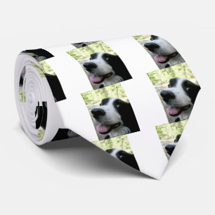 Gravata Collie Silk Tie, Fronteira Masculina