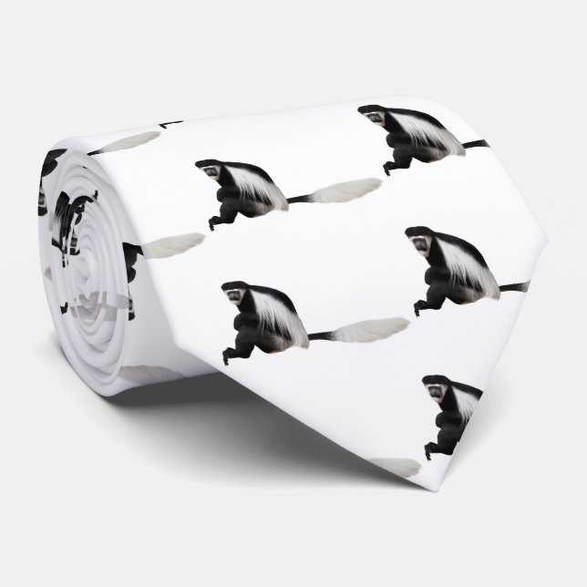 Gravata Colobus guereza (Rolled)