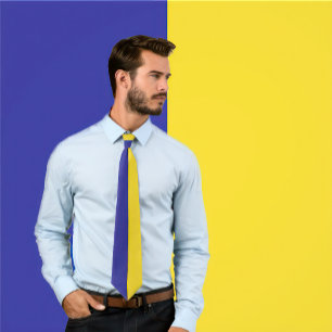 Gravata com Design de Cores Divididas Azul e Doura