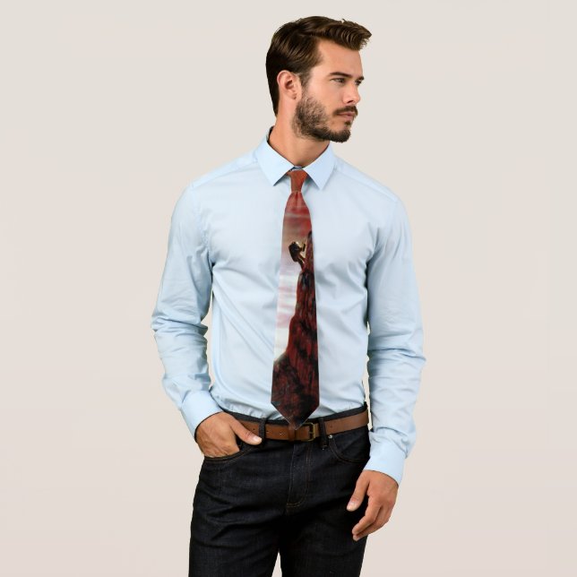 Gravata Conceito de Artista da NASA Primeira Viagem ao Pla (In Situ)