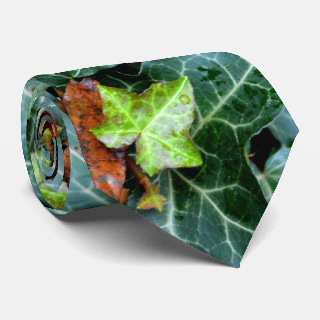 Gravata Costa do Marfim e pedra de campo (Rolled)