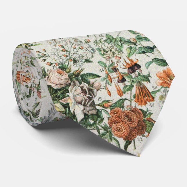 Gravata Cute Floral Botanical Drawing by Adolphe Millot (Rolled)