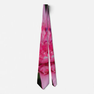 Gravata de Beleza Rosa