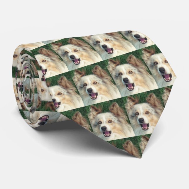 Gravata de Cachorro Excepcionalmente Bonita (Rolled)