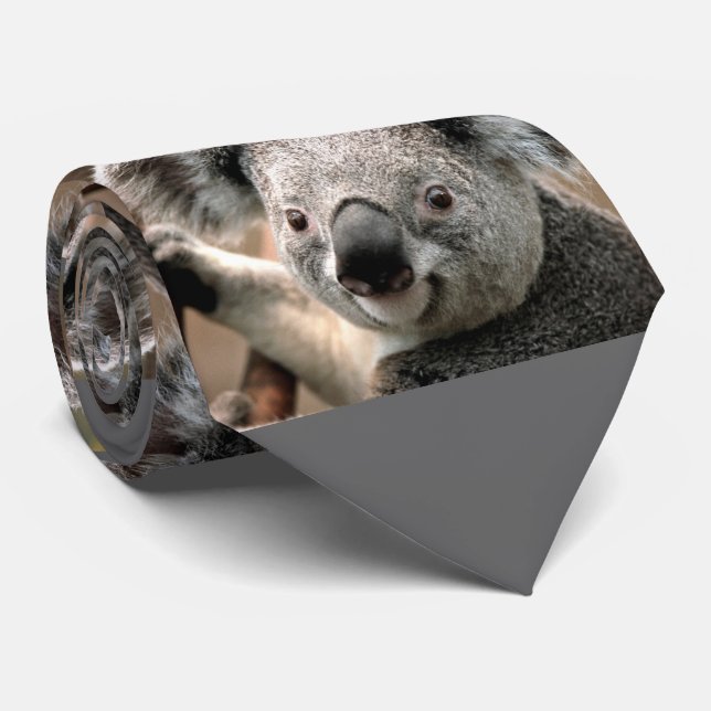 Gravata de Fotos do Urso Koala (cinza) (Rolled)