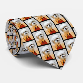 Gravata de Malshi Cachorro Azulejado