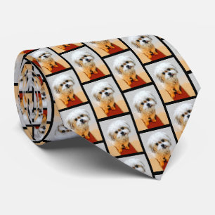 Gravata de Malshi Cachorro Azulejado