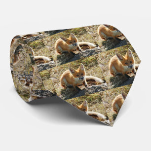 Gravata de Red Fox Men
