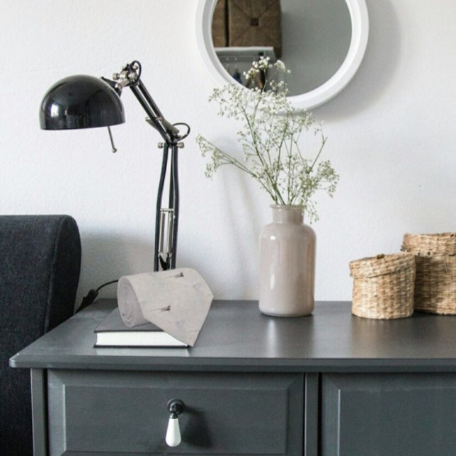 Gravata Deserto Lizard sobre Cinza Foto de Til (Criador carregado)