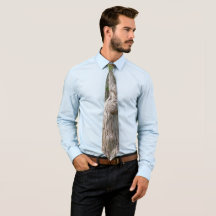 Design de Textura do Latido de Árvore