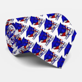 Gravata Diploma de Graduação, Bonés e Livros