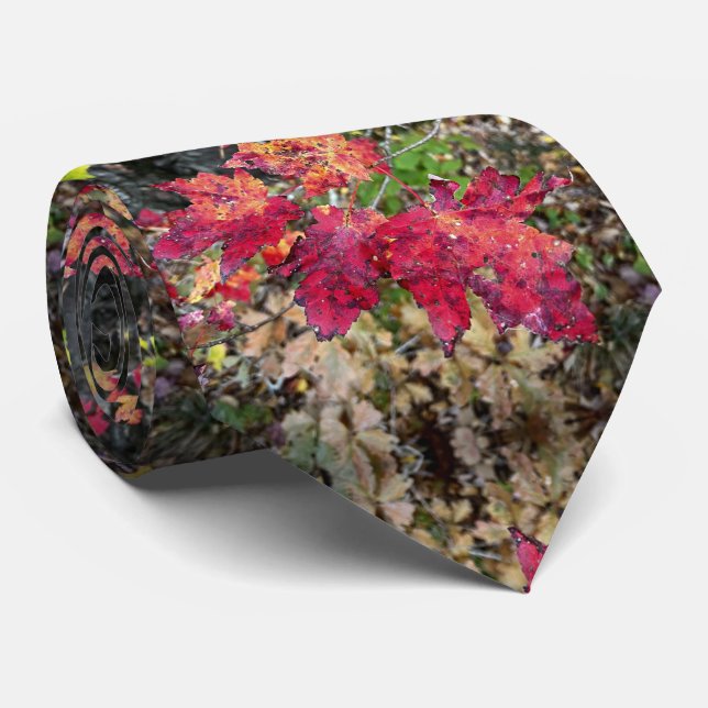 Gravata do pescoço/padrão das folhas do outono (Rolled)