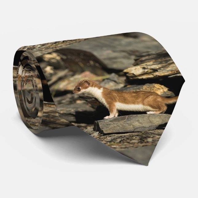 Gravata Doninhas da caça (Rolled)