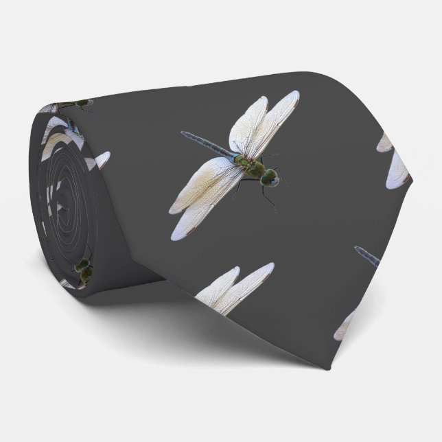 Gravata Dragonfly (Rolled)
