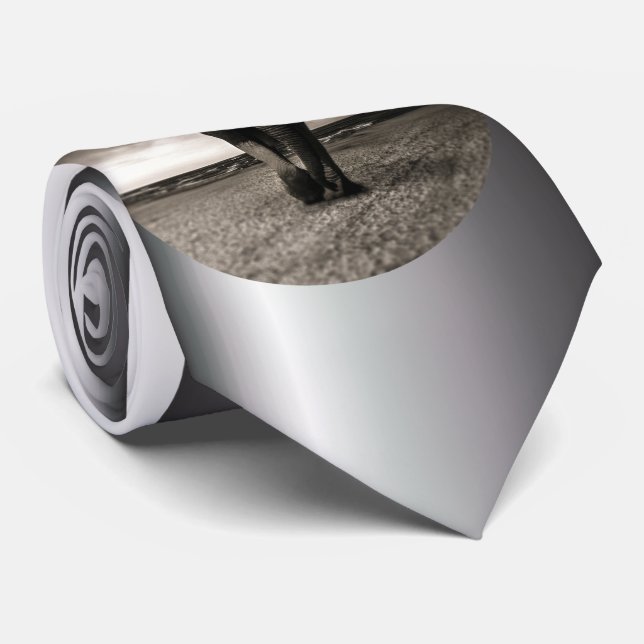 Gravata Elefante na Corrida (Rolled)