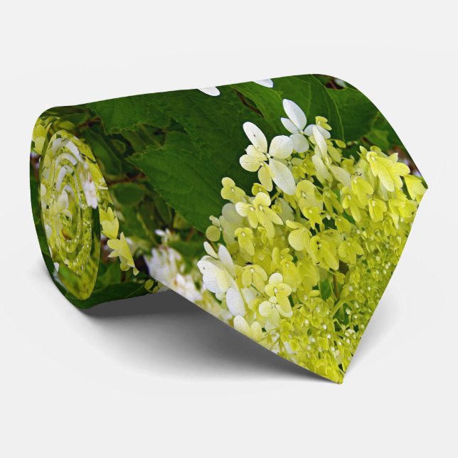 Gravata Elegante Chartreuse Verdes (Rolled)