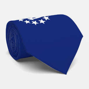 Gravata Estrelas náuticas americanas da âncora da bandeira