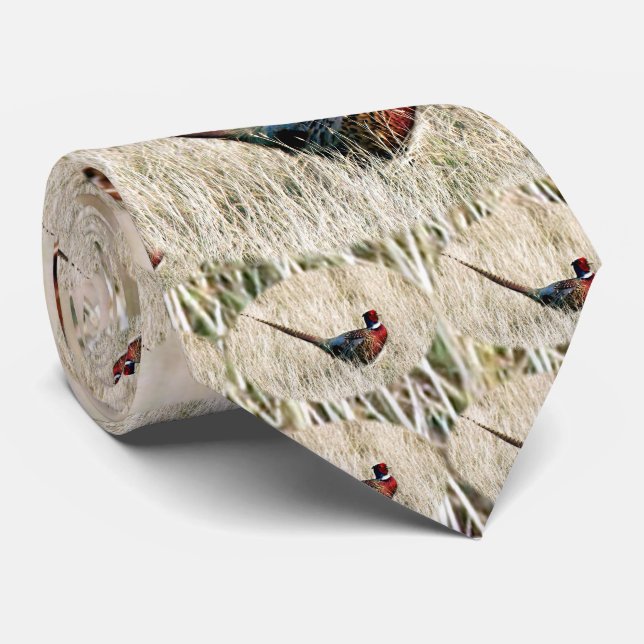 Gravata Faisão do pescoço do anel no prado (Rolled)