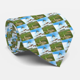 Gravata Farol de East Point, Massachusetts Mens Tie