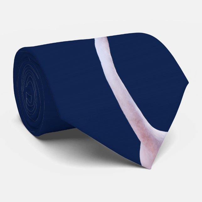 Gravata Feisty Flamingo Tie (Marinho) (Rolled)