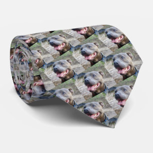 Gravata Feliz Staffordshire Bull Terrier,   Neck Tie