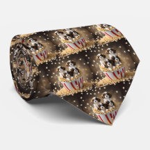 Filhotes de Cavalier Spaniel Quads No Pipoca,