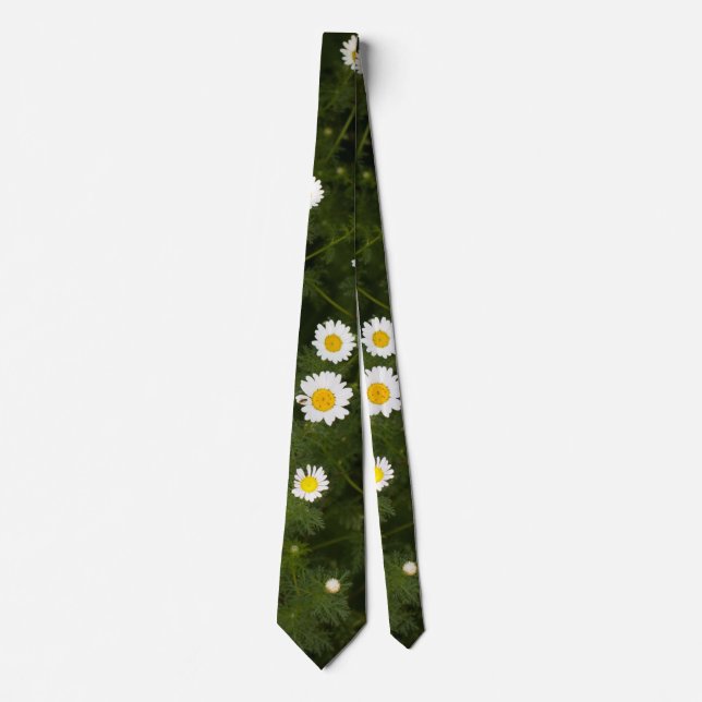 Gravata Flores de margarida brancas (Frente)