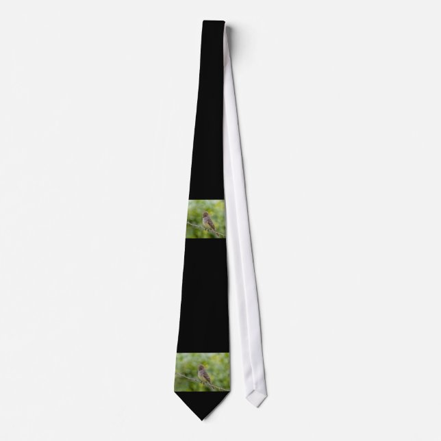 Gravata Flycatcher (Frente)