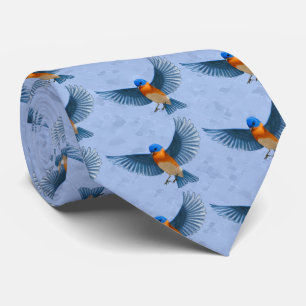 Gravata Flying Bluebird