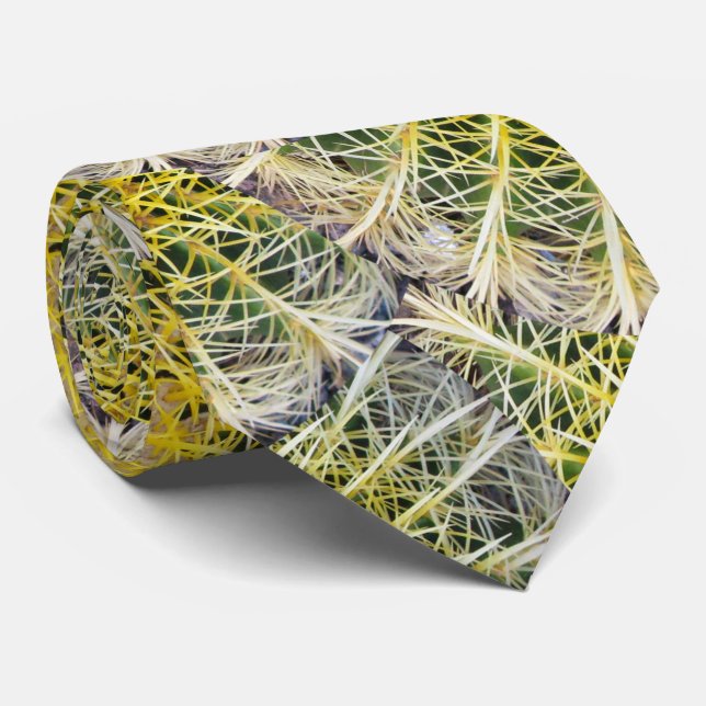 Gravata Foto botânica da planta do cacto do globo (Rolled)