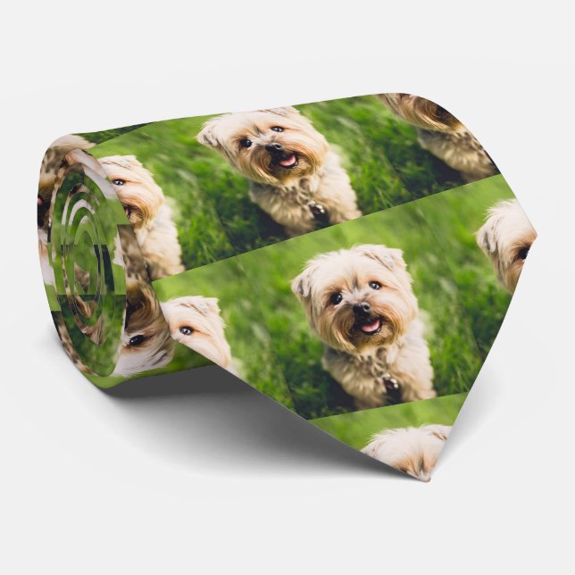 Gravata Foto personalizada de cão de estimação (Rolled)