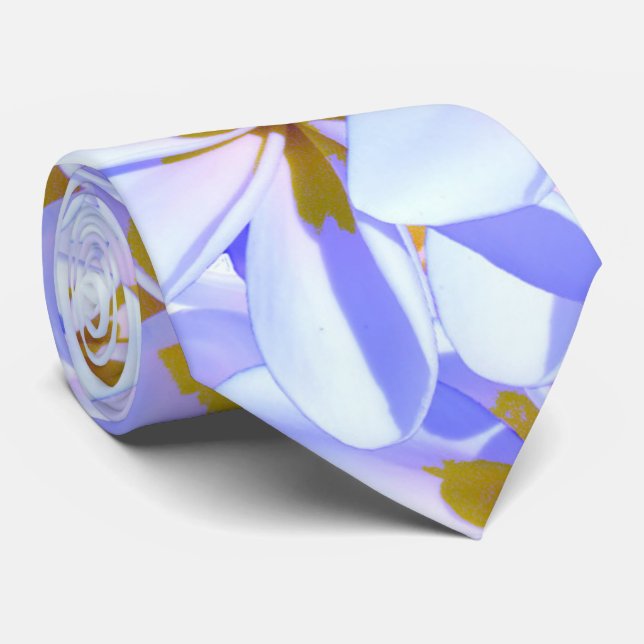Gravata Frangipani Splender, (Rolled)