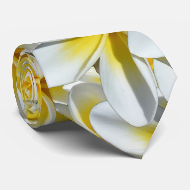 Gravata Frangipanis Amarelo E Branco, (Rolled)