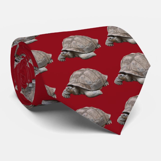 Gravata Galápagos giant tortoise (Rolled)