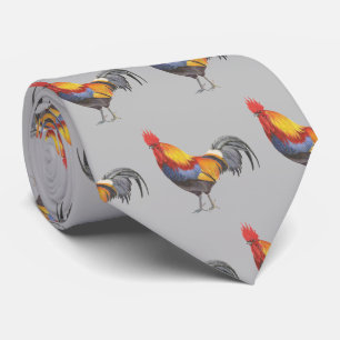 Gravata Galo