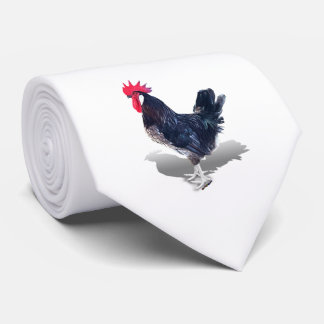 Gravata Galo de Minorca